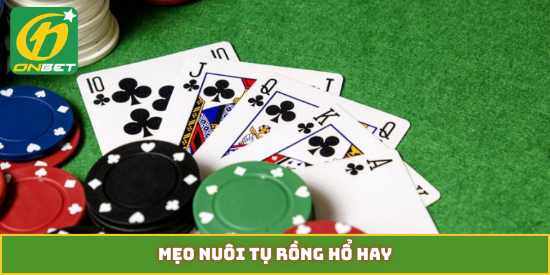 mẹo nuôi tụ rồng hổ